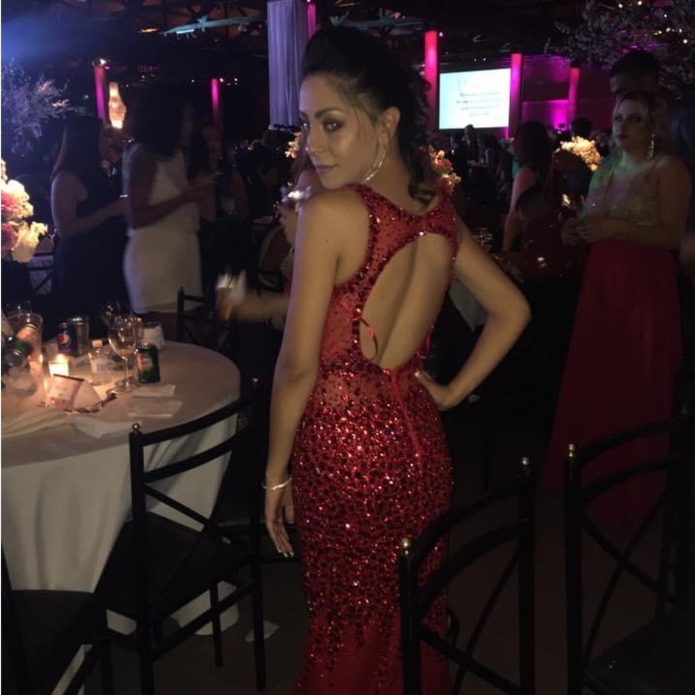 Stunning Hand embroidered evening dress made in Brazil!